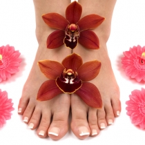 Orchids and Feet